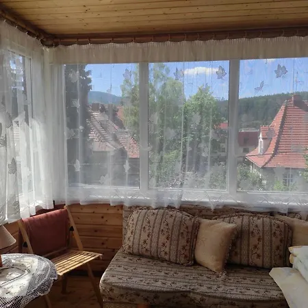 Helena * 波兰尼卡-兹德鲁伊