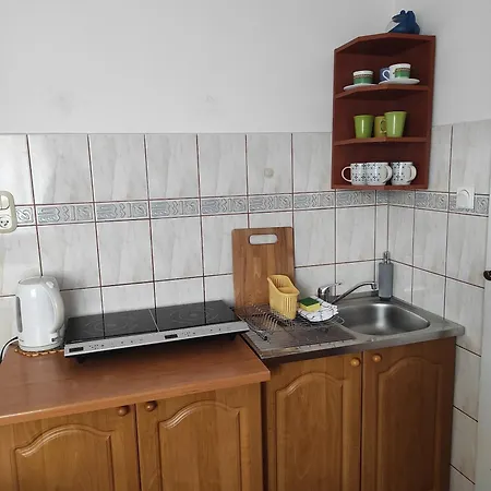 Helena * 波兰尼卡-兹德鲁伊