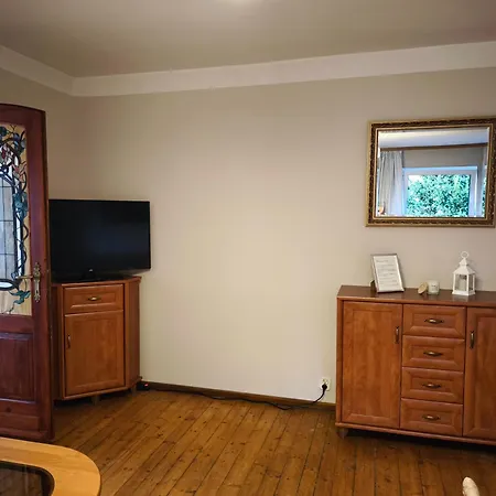 Helena 波兰尼卡-兹德鲁伊