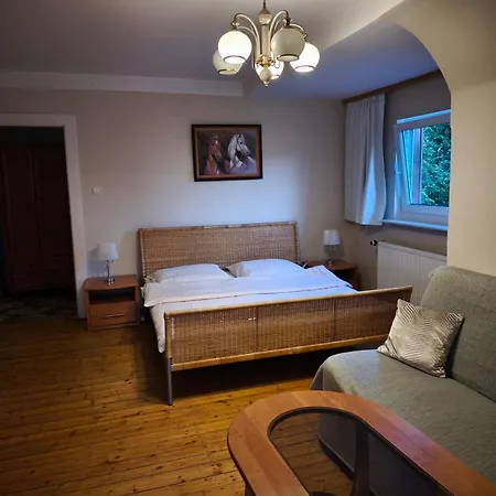 公寓 Helena 波兰尼卡-兹德鲁伊