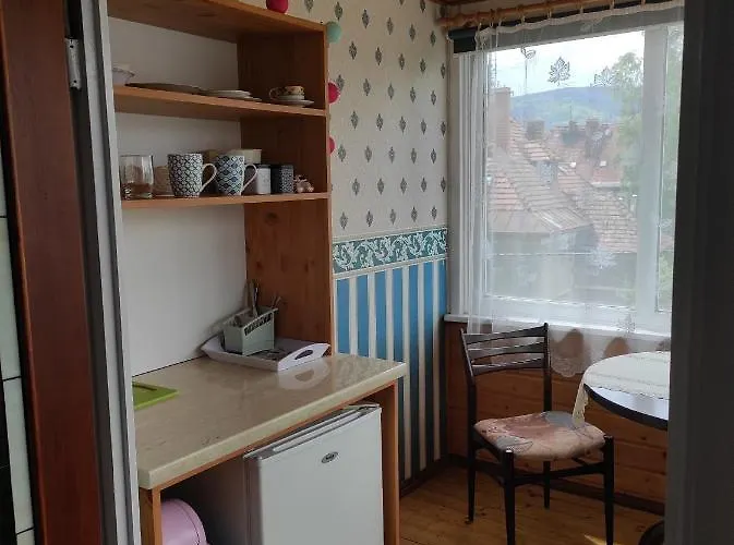 Helena 波兰尼卡-兹德鲁伊