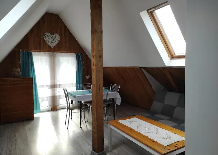 Helena 波兰尼卡-兹德鲁伊