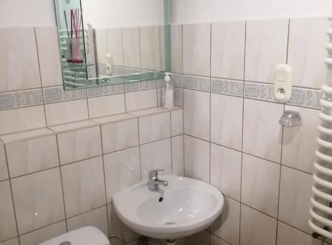 Helena 公寓 波兰尼卡-兹德鲁伊