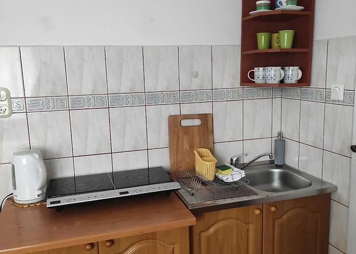 Helena * 波兰尼卡-兹德鲁伊