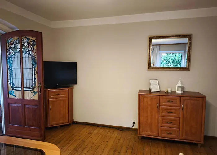 Helena 波兰尼卡-兹德鲁伊