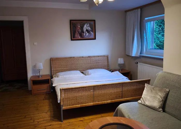 公寓 Helena 波兰尼卡-兹德鲁伊